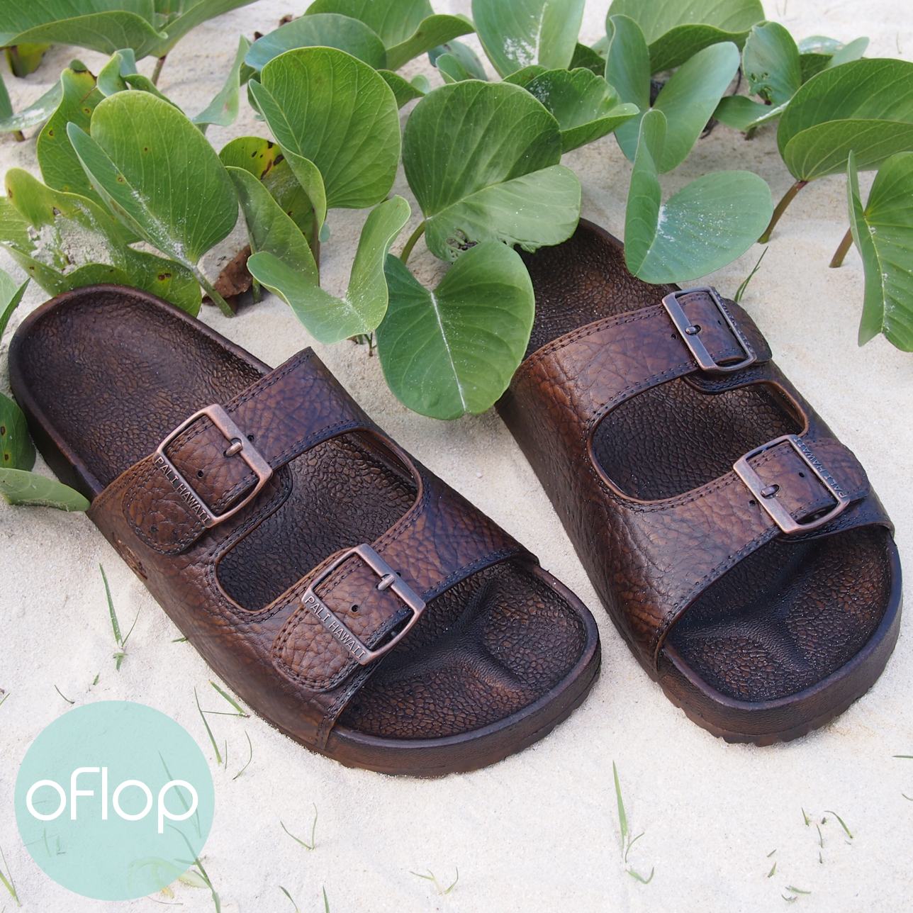 Pali Hawaii Buckle Sandals - Buckle Jandals - oFlop